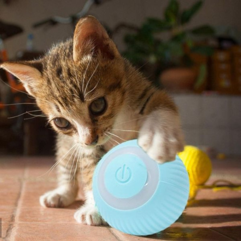 İnteraktif Şarjlı Kedi ve Köpek Oyun Topu – Akıllı Eğlence!
