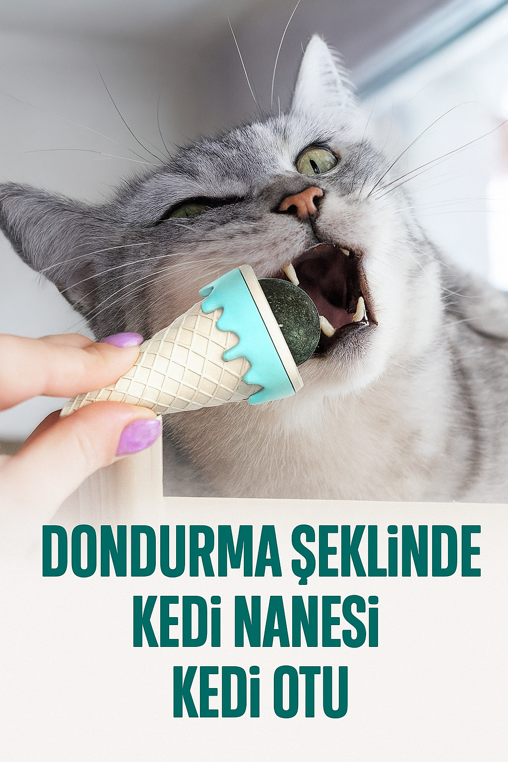 Dondurma Şeklinde Kedi Nanesi Kedi Otu Oyuncağı
