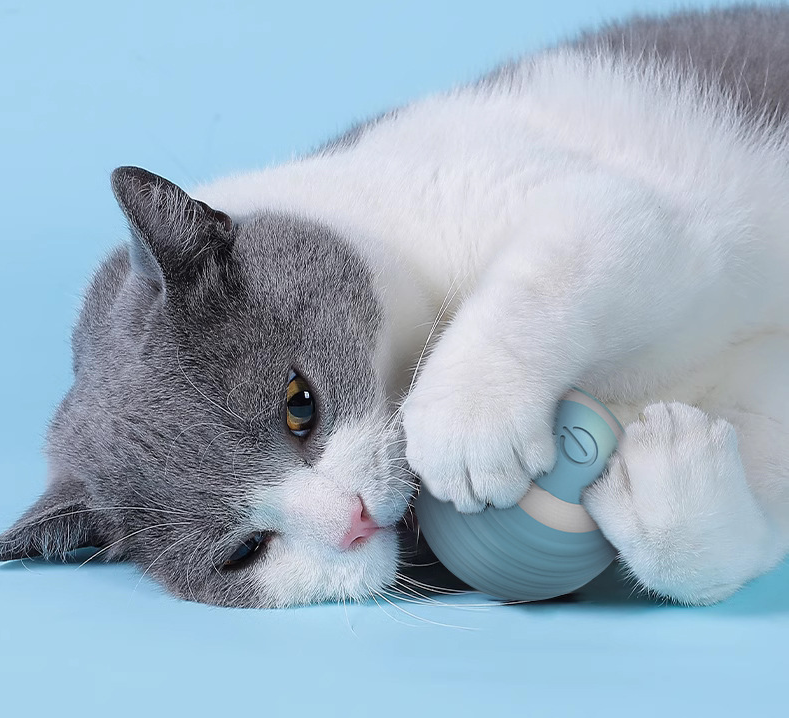 İnteraktif Şarjlı Kedi ve Köpek Oyun Topu – Akıllı Eğlence!