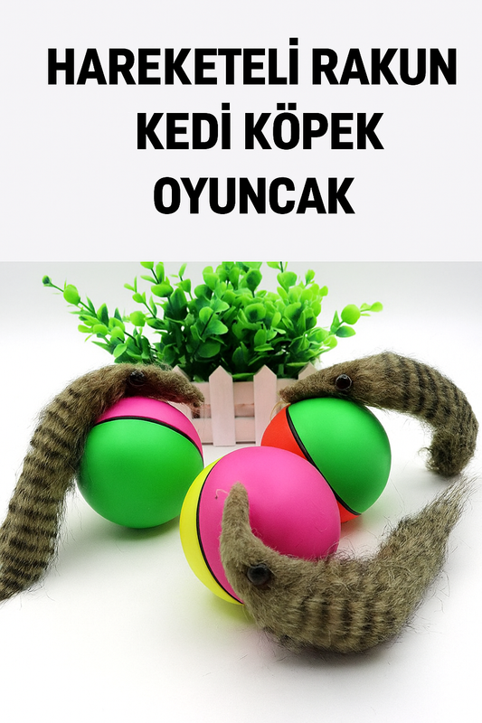 Hareketli Rakun Kuyruklu Kedi & Köpek Oyuncağı